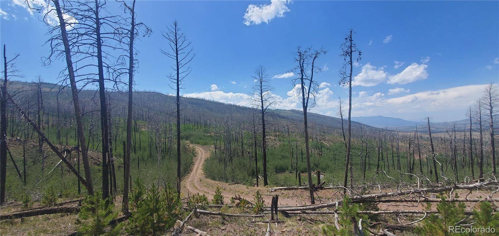 Lot's 854,855 Slaoui PL, Fort Garland, CO 81133
