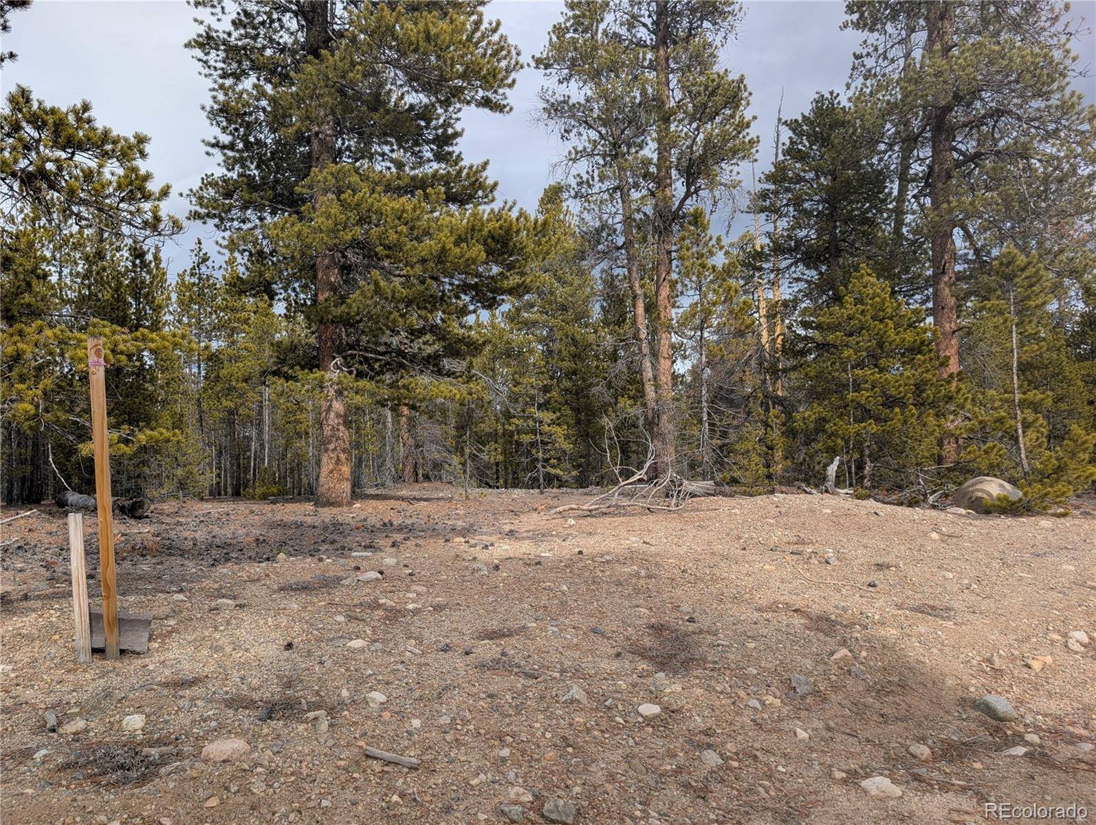 179 Cedar DR, Twin Lakes, CO 80461