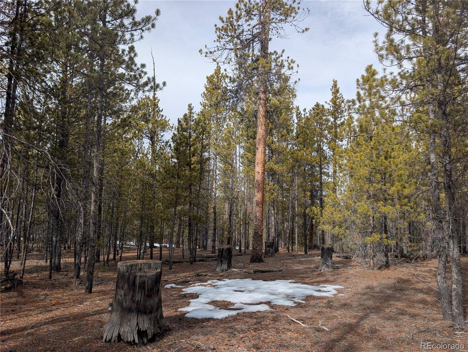 179 Cedar DR, Twin Lakes, CO 80461
