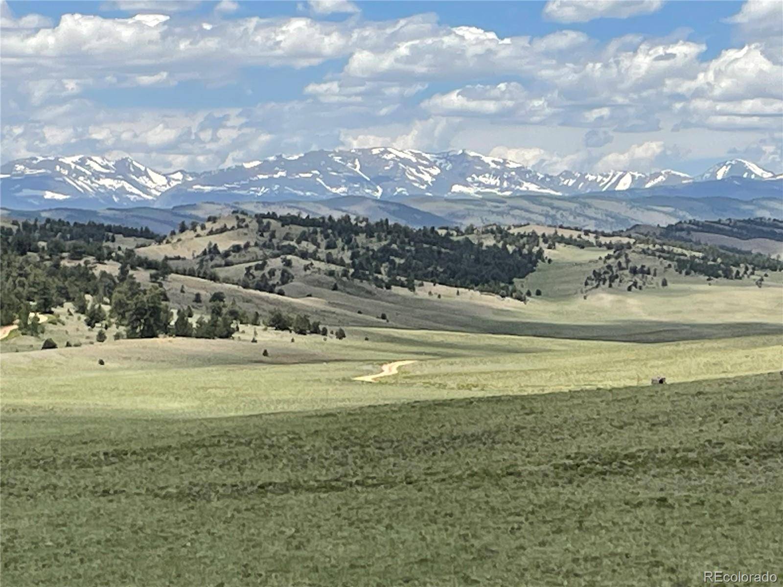 853 La Plata DR, Hartsel, CO 80449