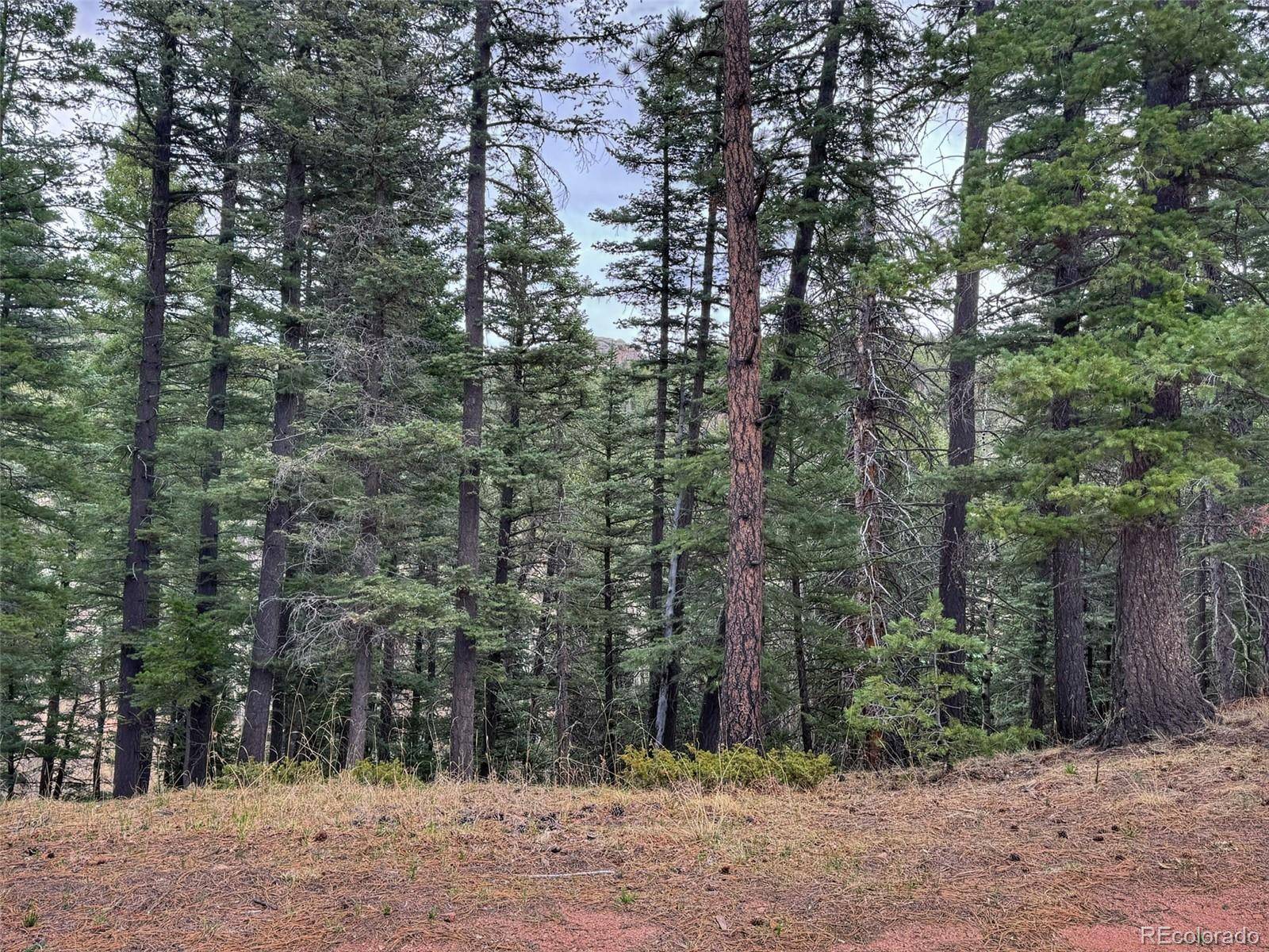 132 Aspen Acres, Rye, CO 81252