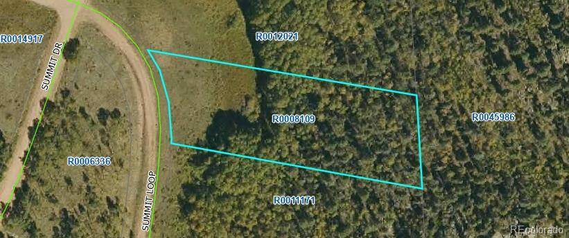 266 Summit LOOP, Florissant, CO 80816