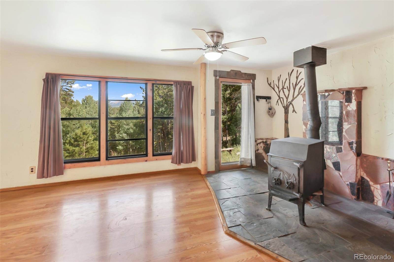 410 Rangeview RD, Divide, CO 80814