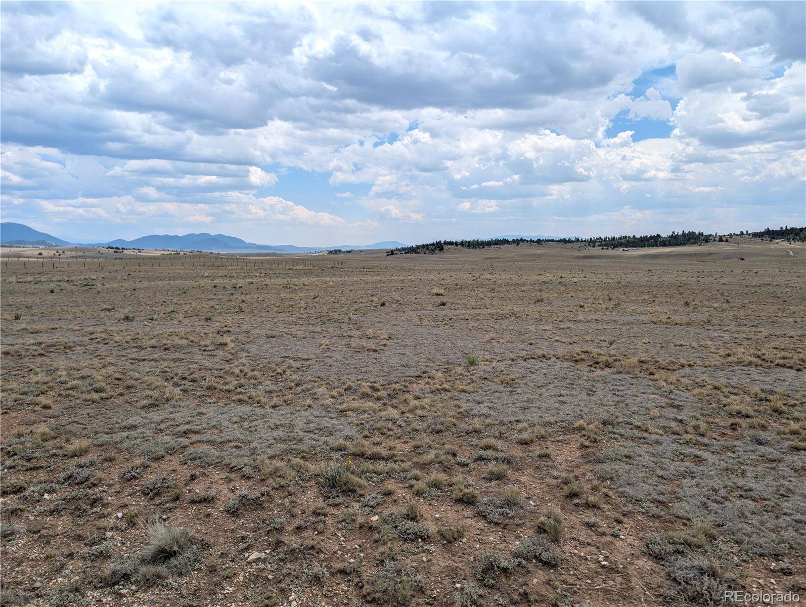 956 Apache TRL, Hartsel, CO 80449