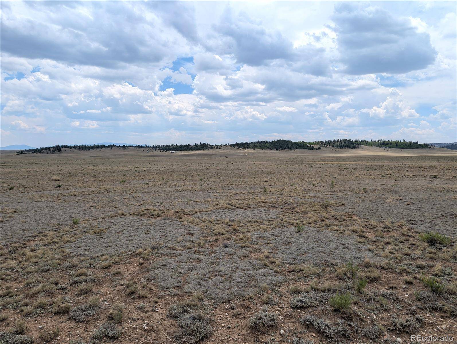 956 Apache TRL, Hartsel, CO 80449