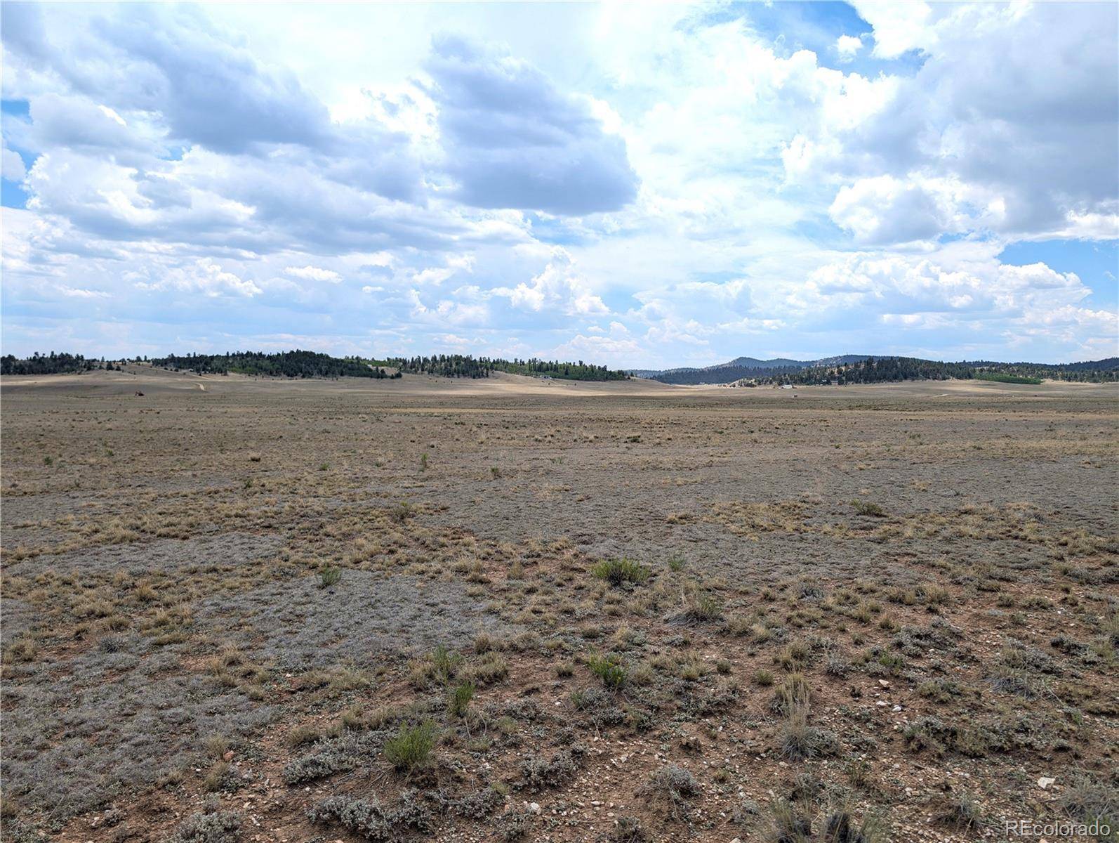 956 Apache TRL, Hartsel, CO 80449