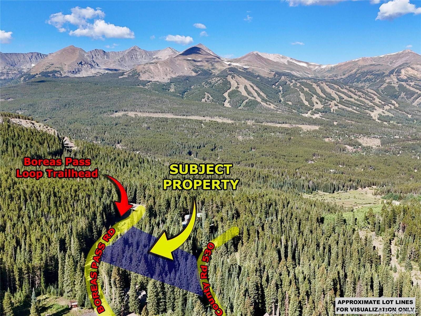 3362 Boreas Pass RD, Breckenridge, CO 80424