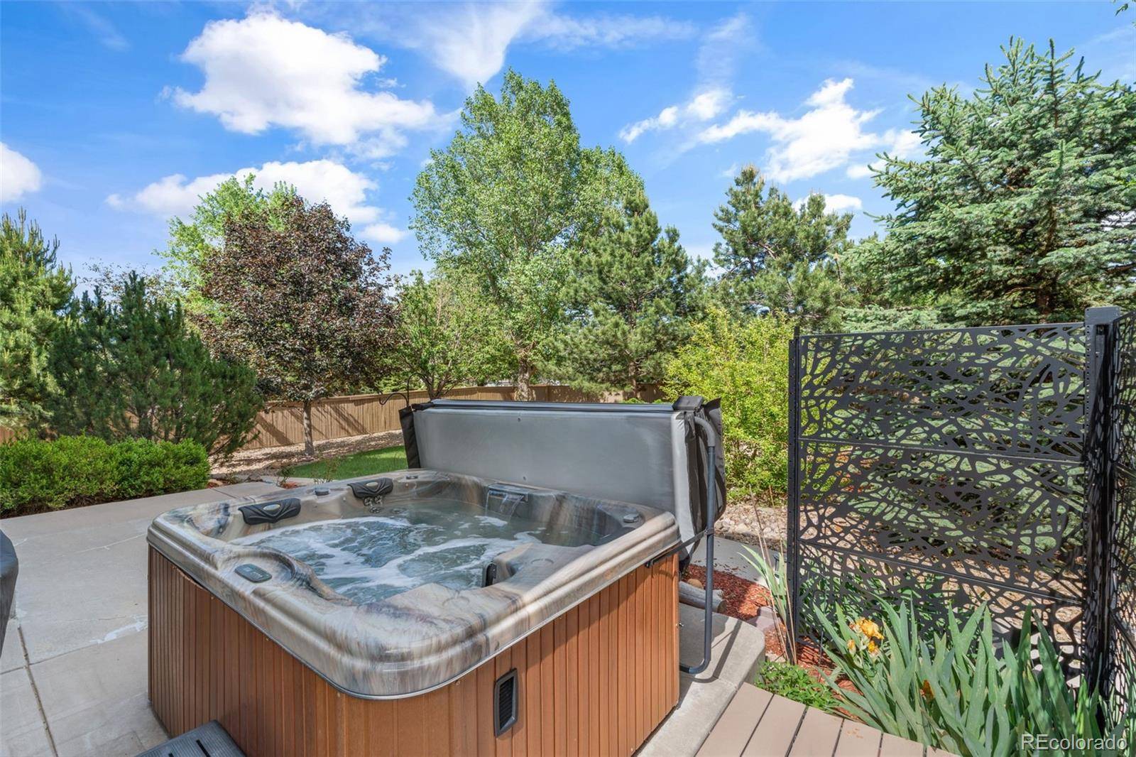 566 Springvale RD, Castle Rock, CO 80104