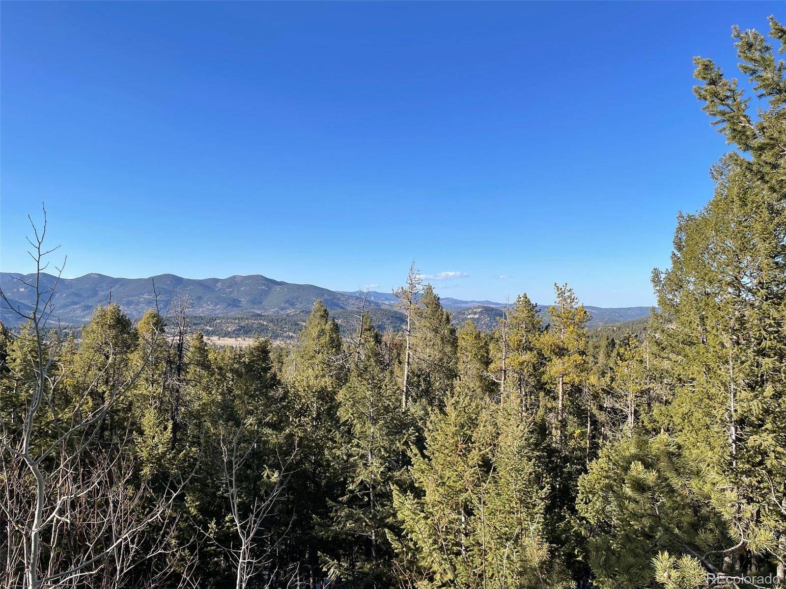 33131 Lynx LN, Evergreen, CO 80439