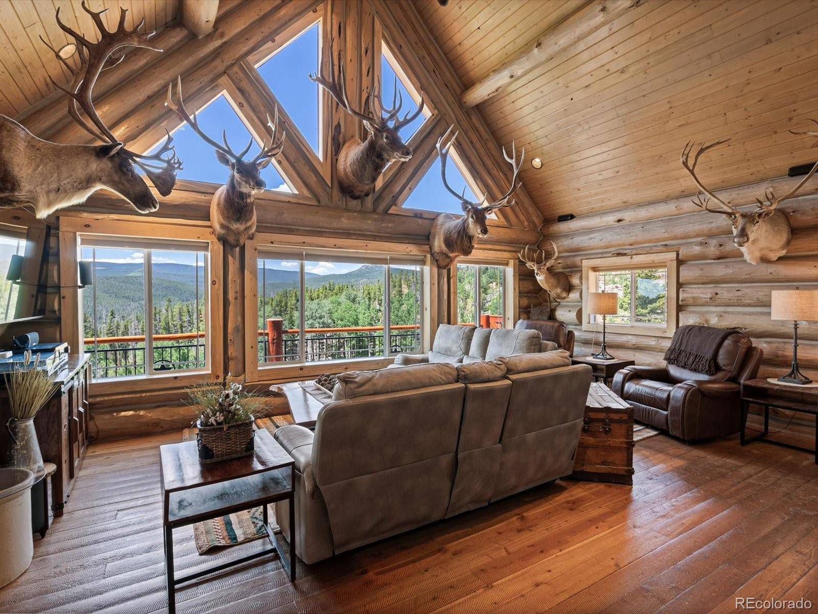 224 Six Elk CT, Red Feather Lakes, CO 80545