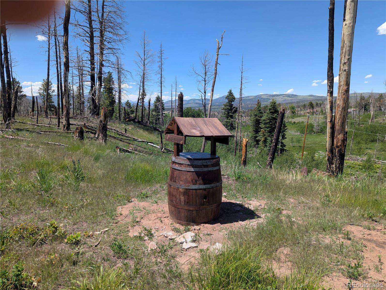 954 Forbes Park RD, Fort Garland, CO 81133