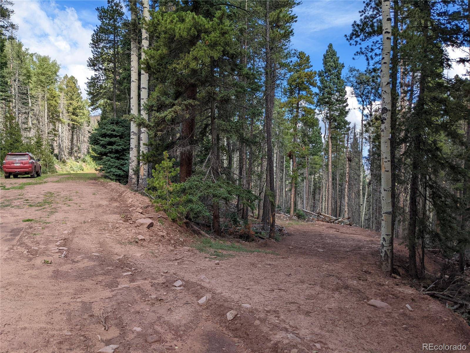 2379 Larry PL, Fort Garland, CO 81133
