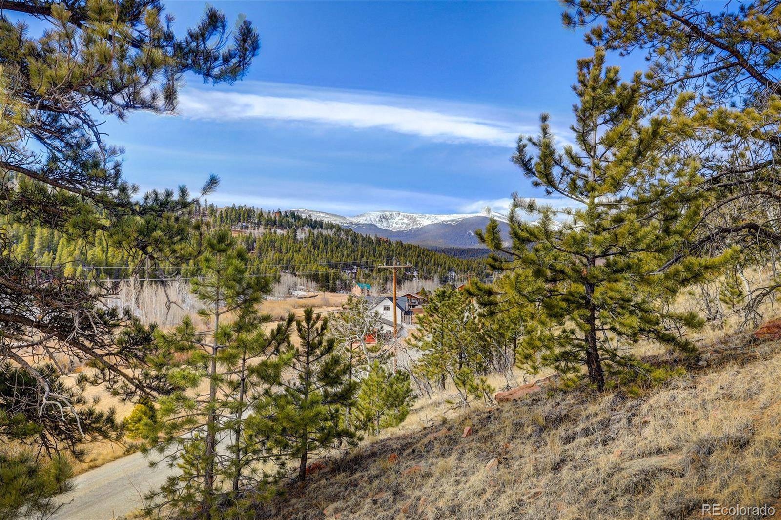 147 Ward ST, Bailey, CO 80421