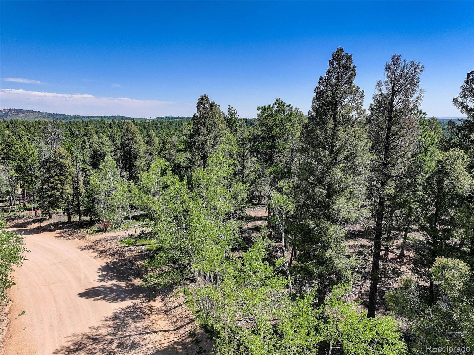 1002 Indian Creek RD, Florissant, CO 80816