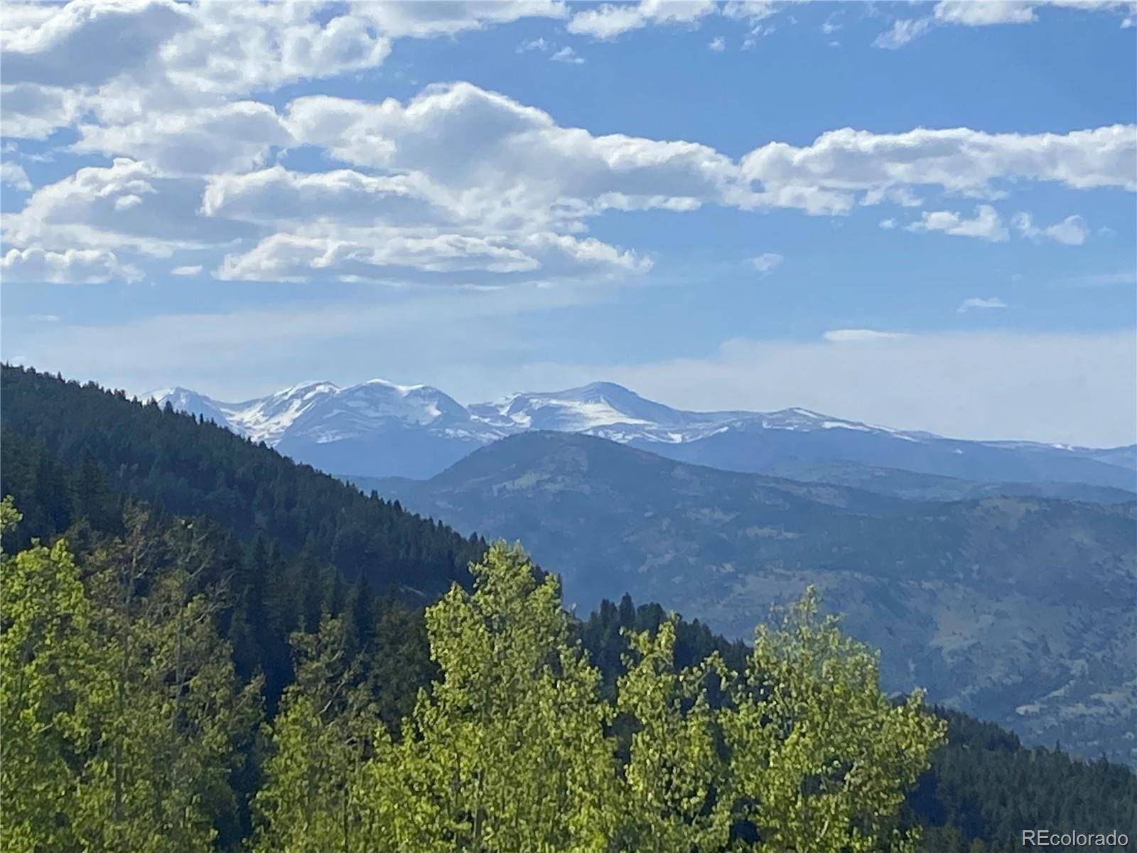 1695 Packsaddle TRL, Evergreen, CO 80439