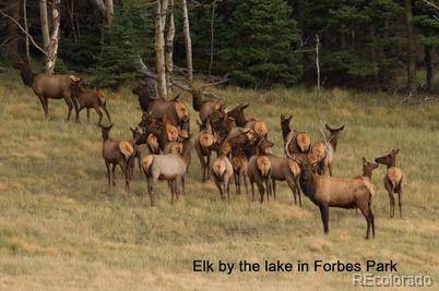 2354 Benton PL, Fort Garland, CO 81133