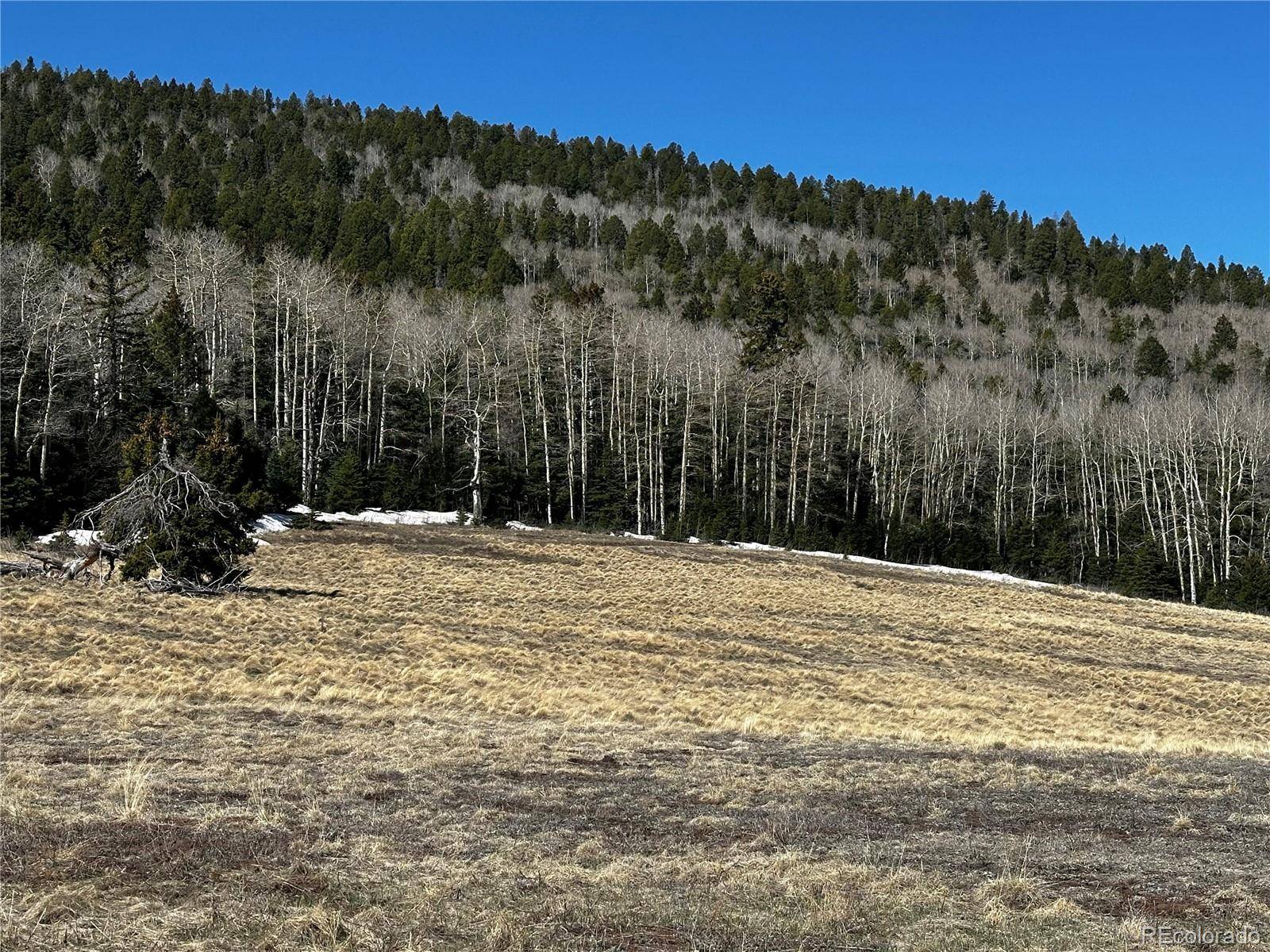 2354 Benton PL, Fort Garland, CO 81133