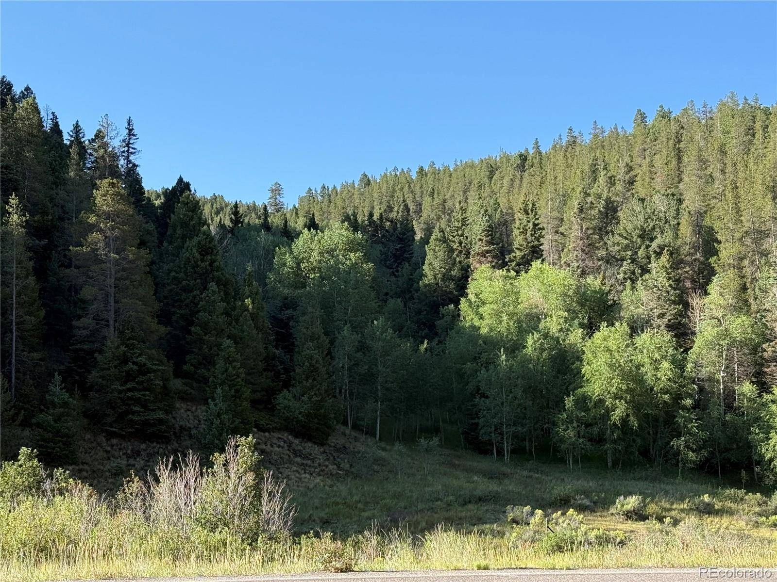 Lot 223 Hwy 160, Fort Garland, CO 81133