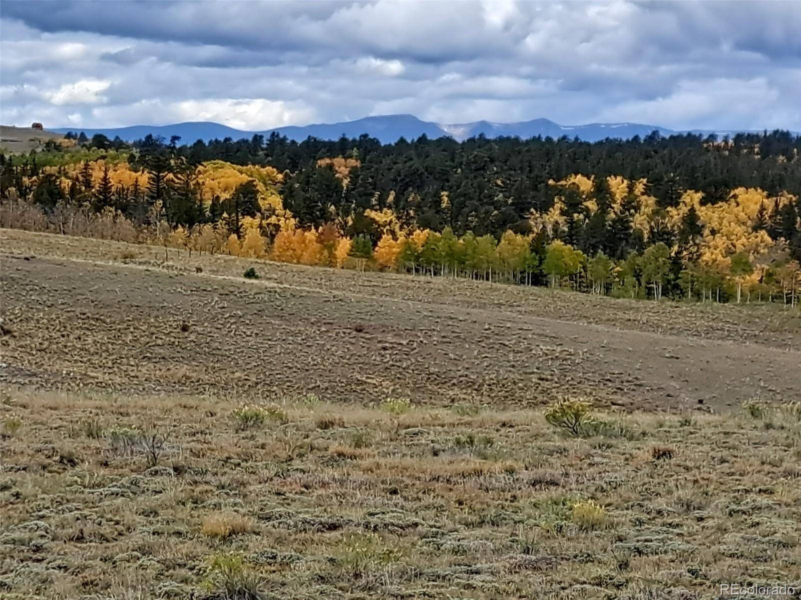 1825 Rhyolite DR, Como, CO 80432