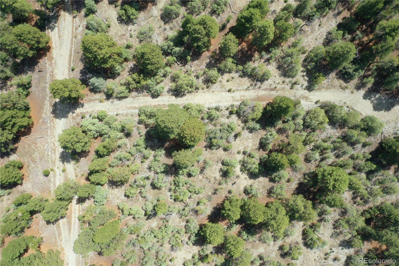 Conejos PL, Mosca, CO 81146
