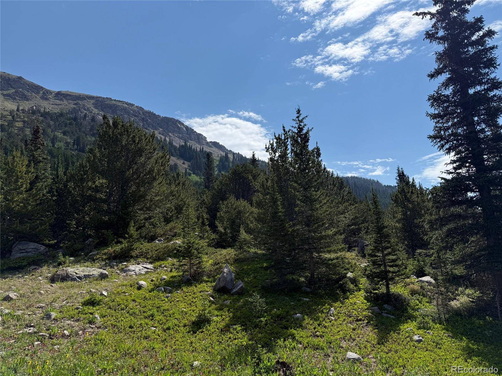 3800 Fourth of July RD, Nederland, CO 80216