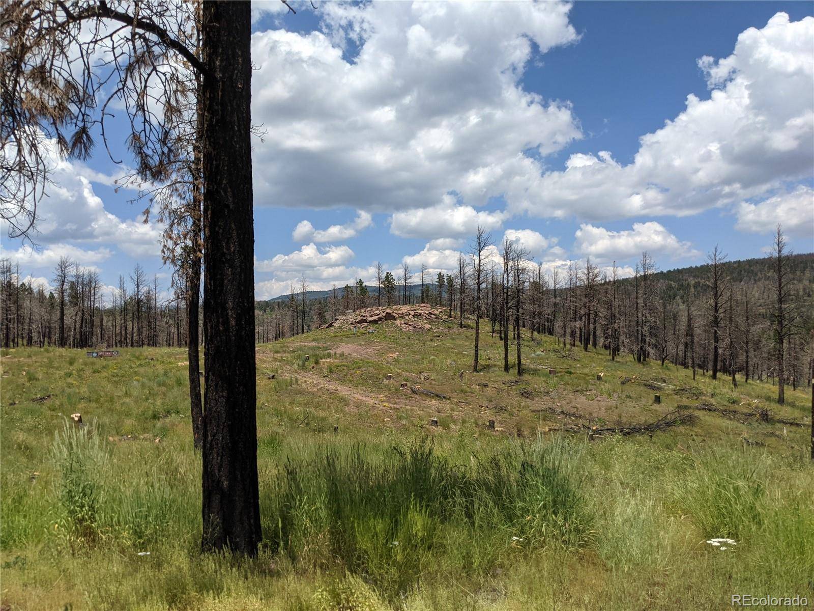 549-551 Drevs PL, Fort Garland, CO 81133