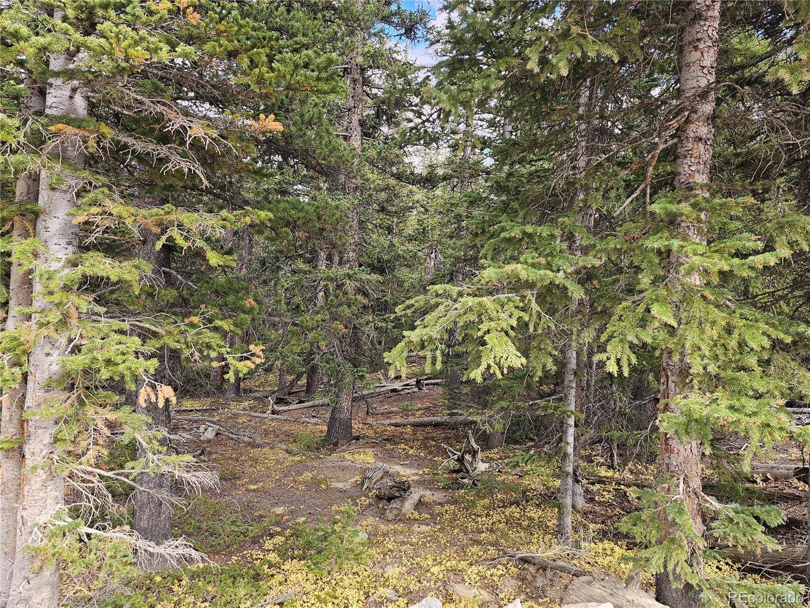 617 Gold Trail CIR, Fairplay, CO 80440
