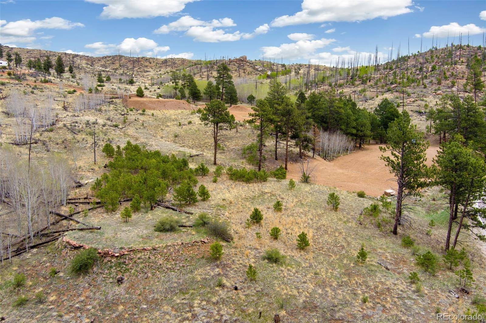 13990 S State Highway 67, Woodland Park, CO 80863