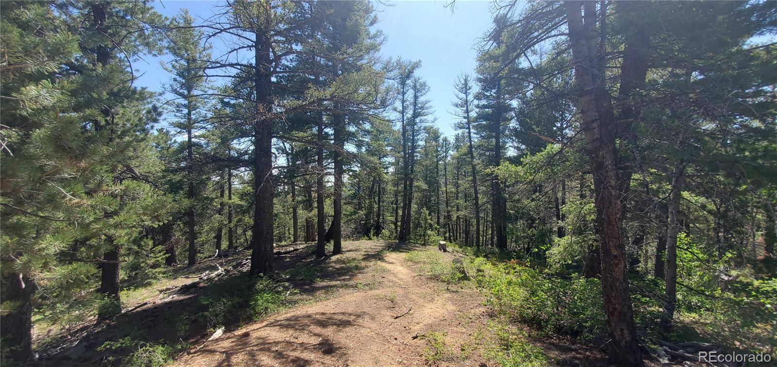 Lot 6764 Kerrigan RD, Fort Garland, CO 81133