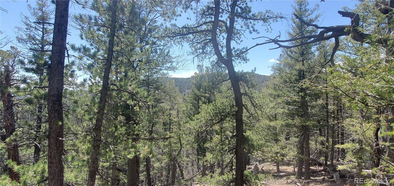 Lot 6764 Kerrigan RD, Fort Garland, CO 81133
