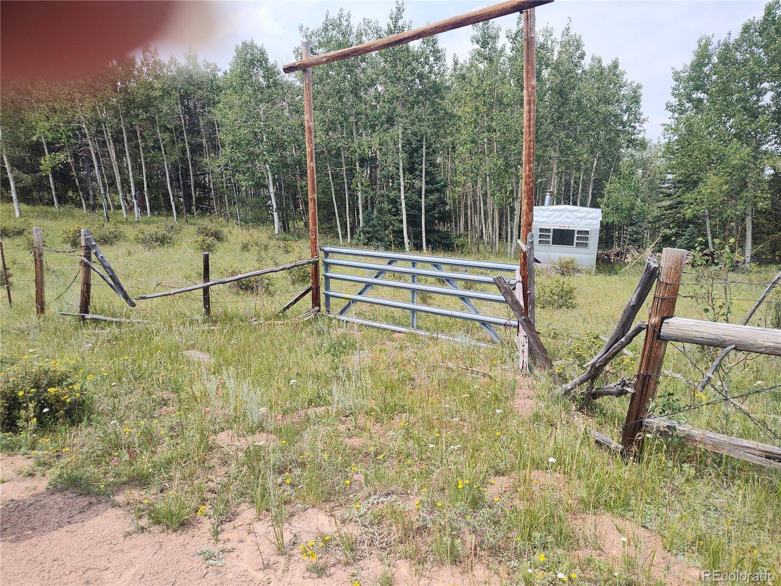 3154 CR 863, Victor, CO 80860