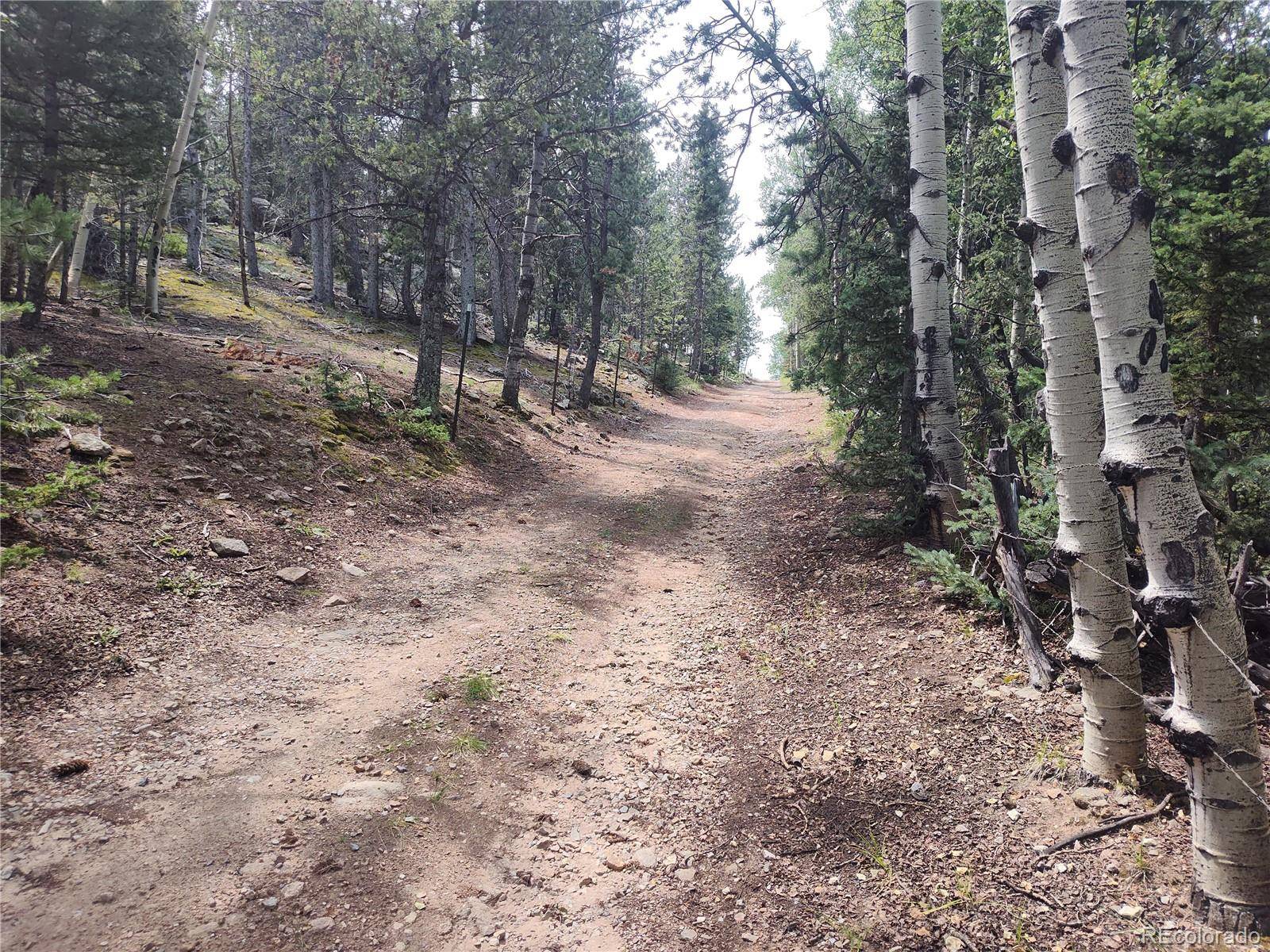 3154 CR 863, Victor, CO 80860