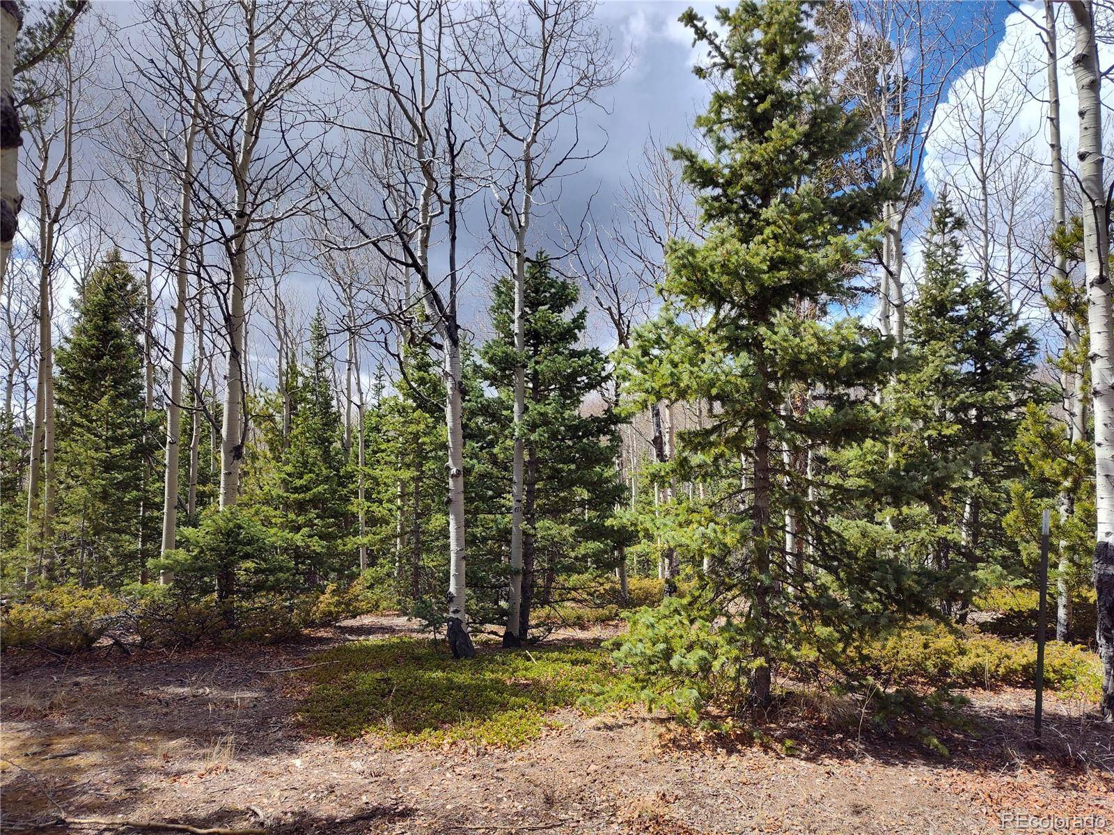 12201 S State Highway 67, Cripple Creek, CO 80813