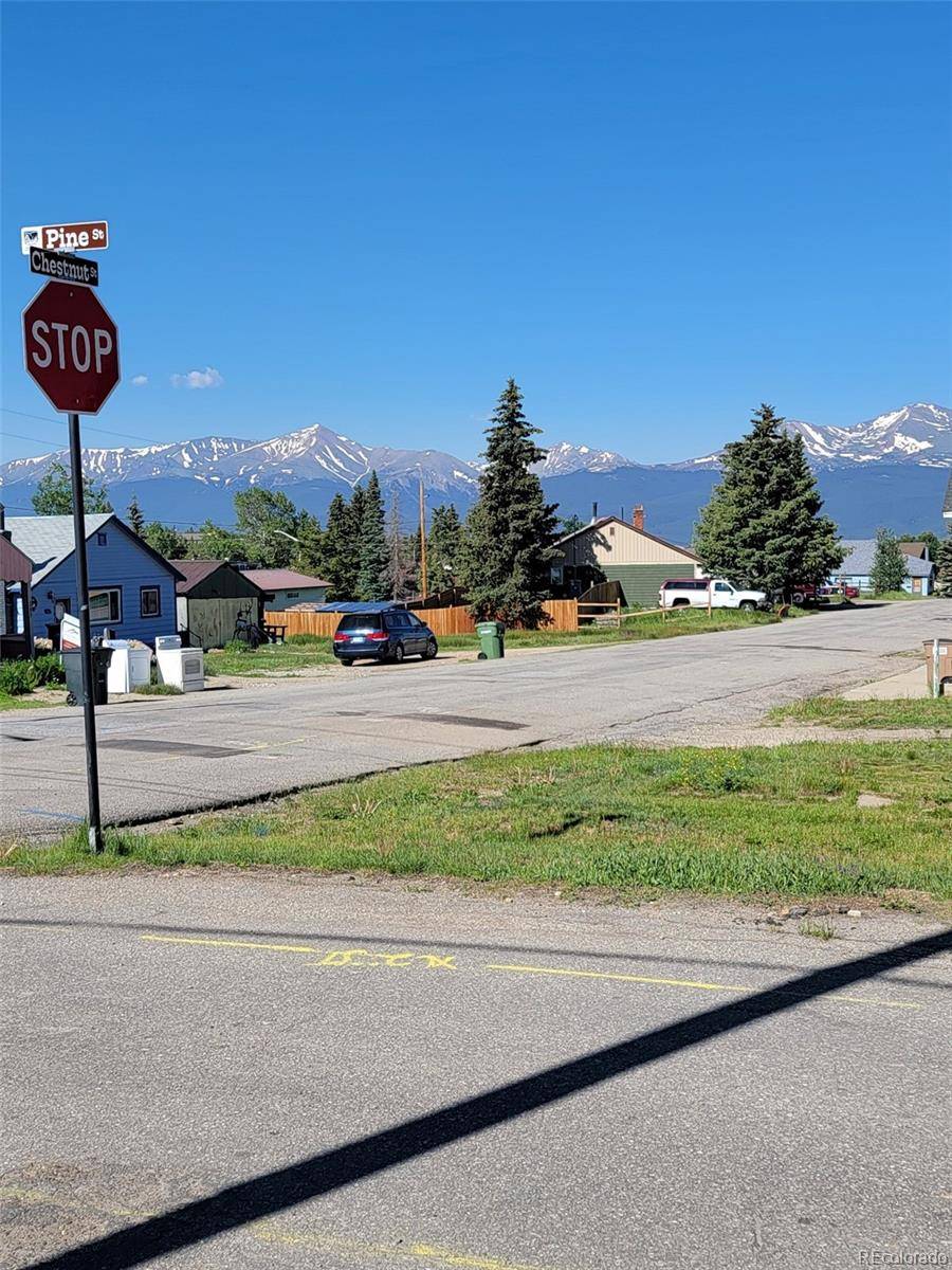 140 Chestnut ST, Leadville, CO 80461