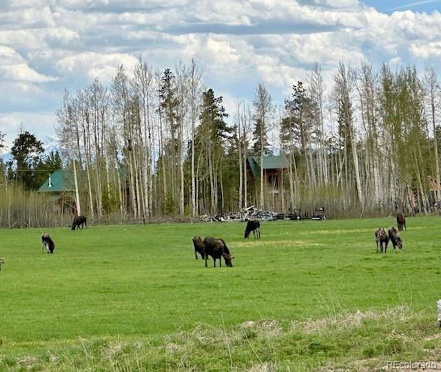 1680 N Cr-491 RD, Grand Lake, CO 80447