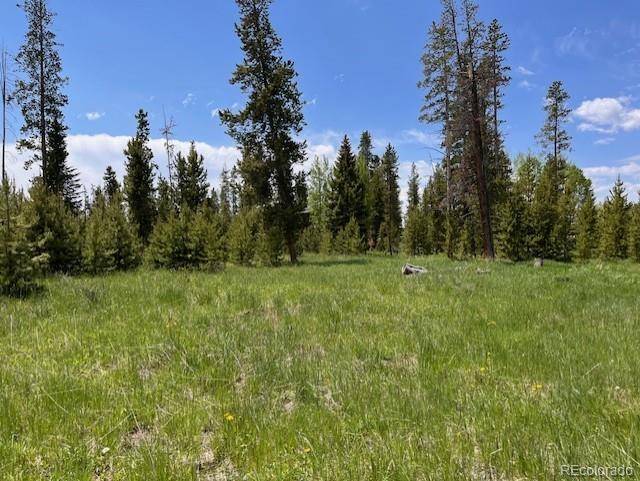 1680 N Cr-491 RD, Grand Lake, CO 80447