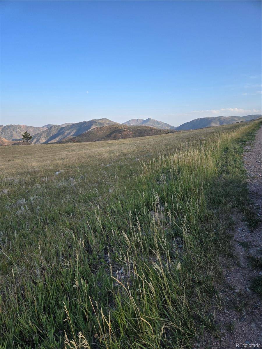 443 Meadow Mountain DR, Livermore, CO 80536