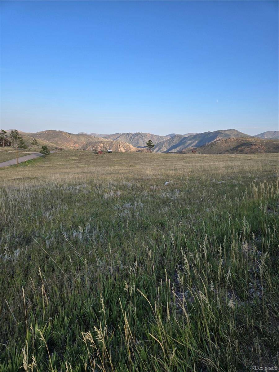 443 Meadow Mountain DR, Livermore, CO 80536