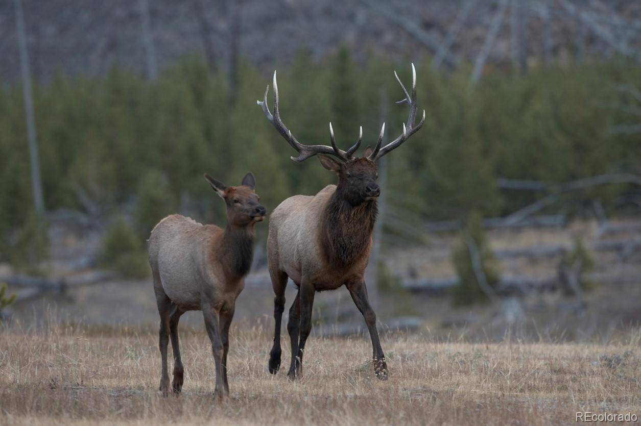 600 Virginia AVE, Leadville, CO 80461