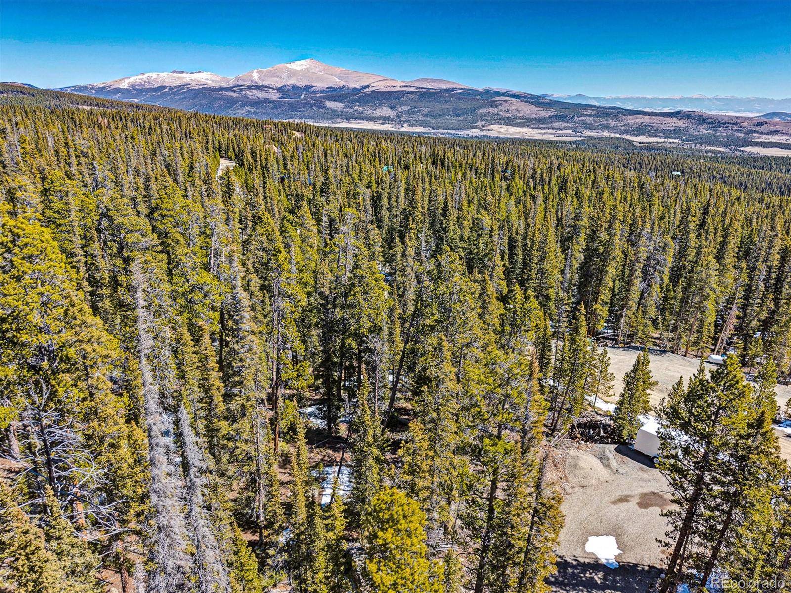313 Porcupine RD, Fairplay, CO 80440