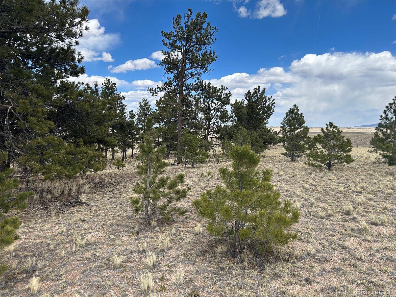 565 Brahma CIR, Hartsel, CO 80449