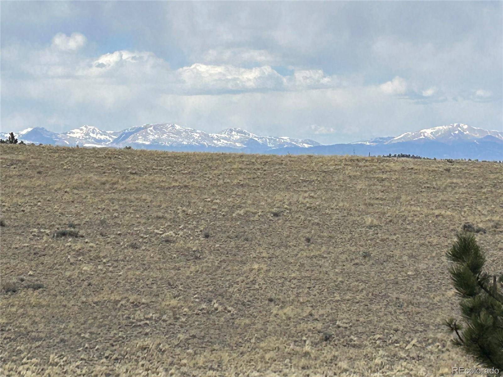 565 Brahma CIR, Hartsel, CO 80449