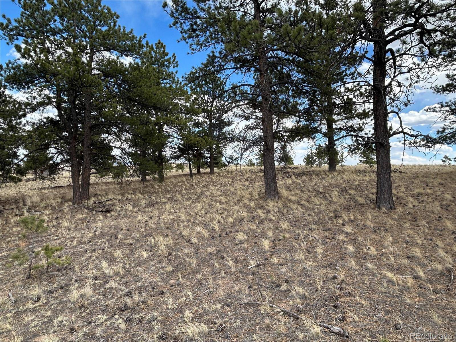 565 Brahma CIR, Hartsel, CO 80449