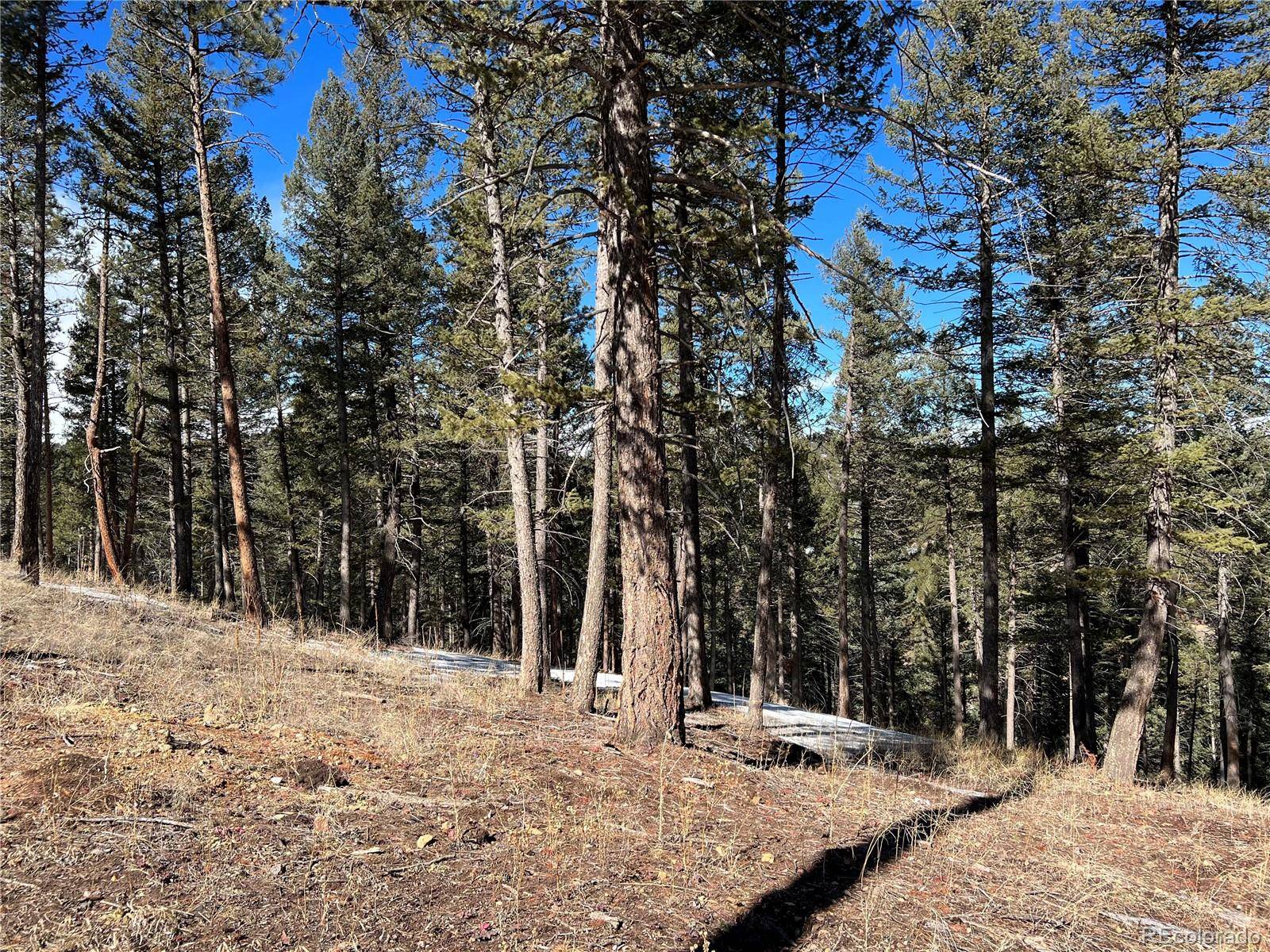 7871 Gold Rush, Morrison, CO 80465