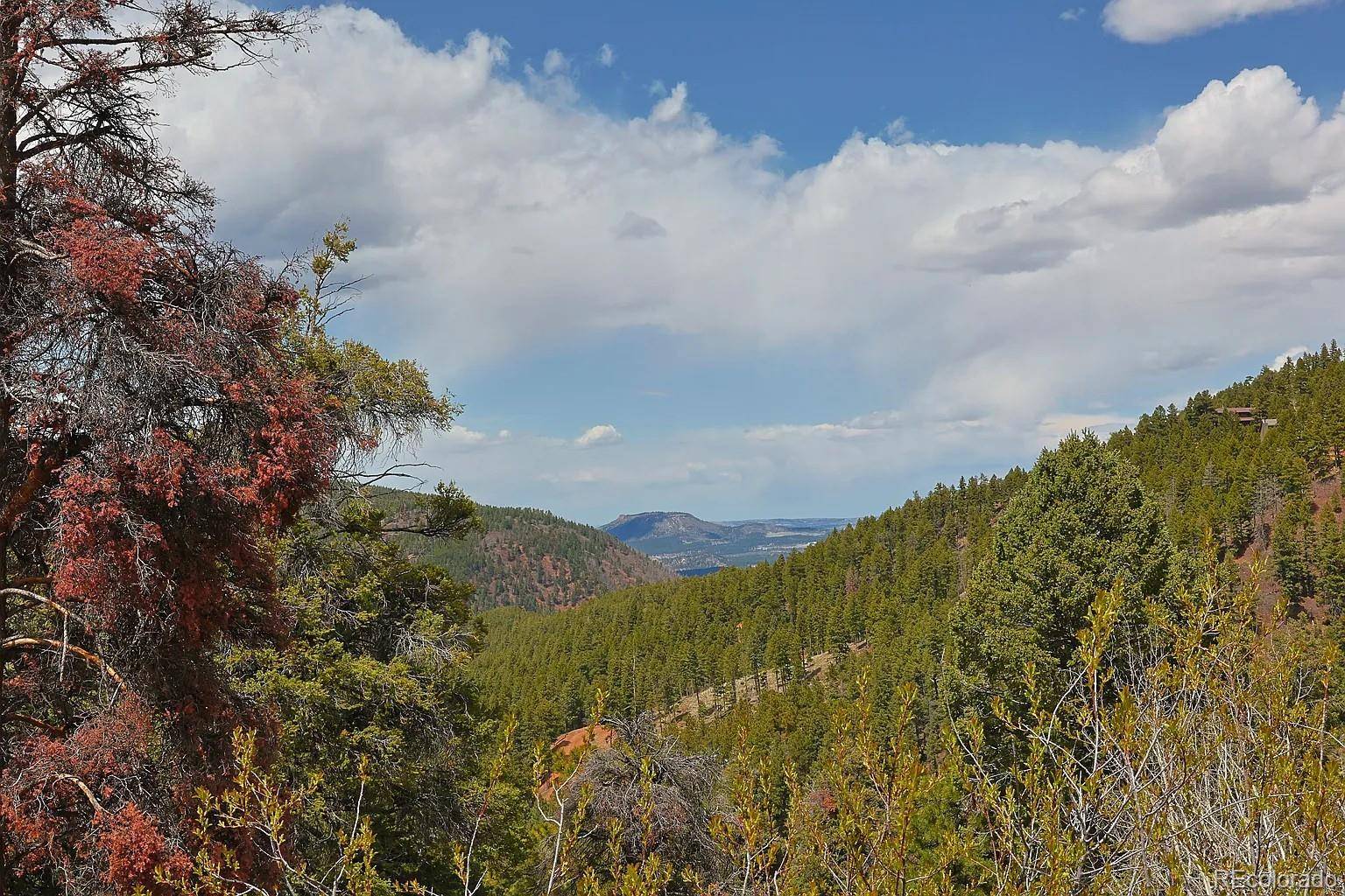 13499 S Firedog WAY, Larkspur, CO 80118
