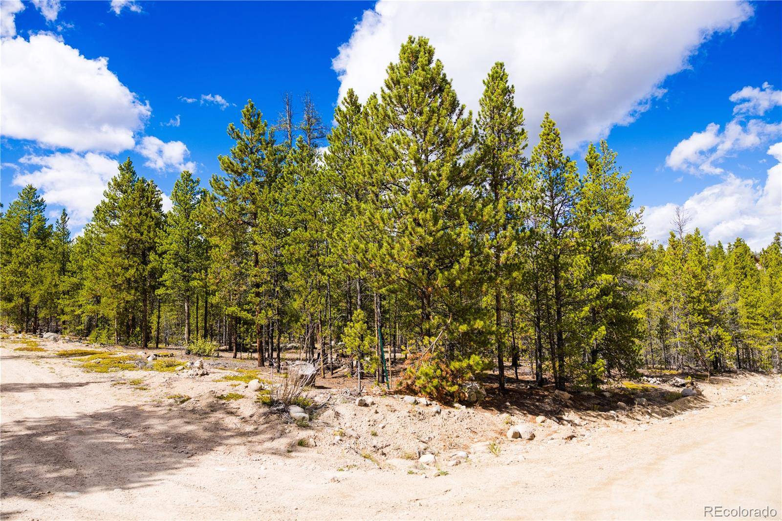 247 Juniper DR, Twin Lakes, CO 80461
