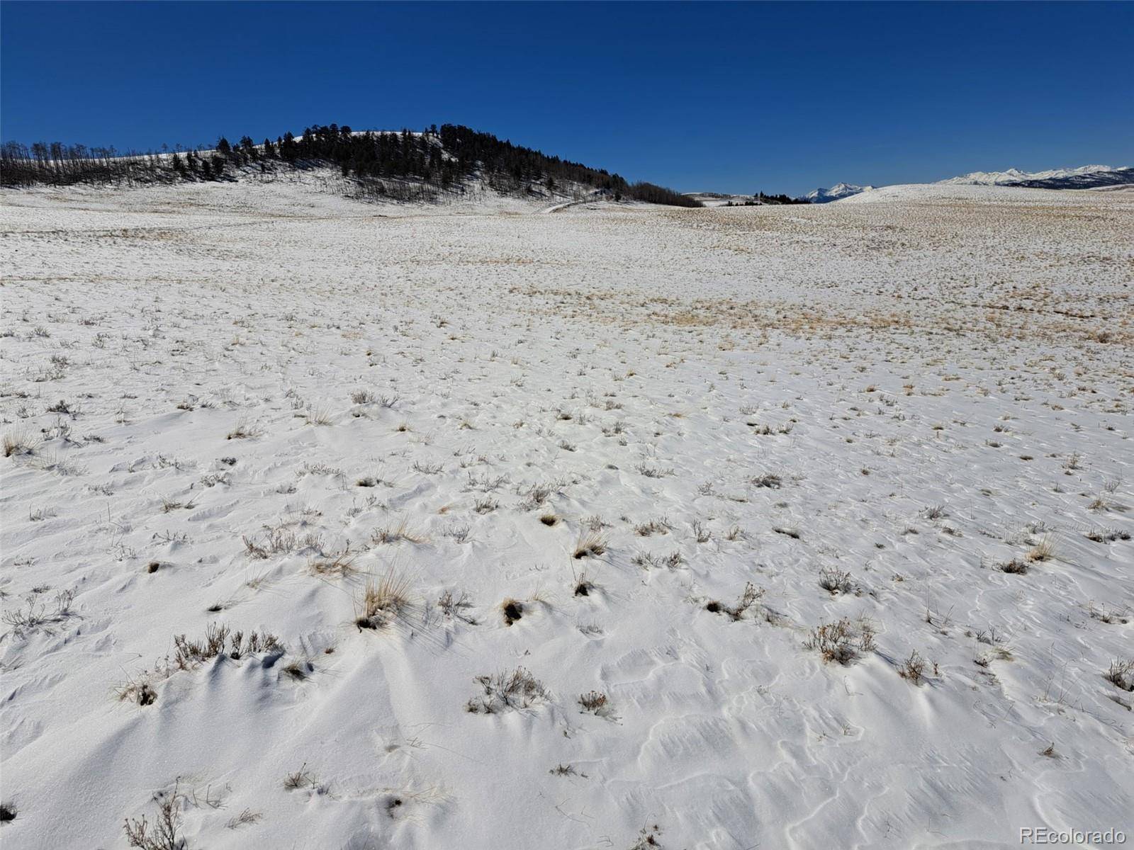00 Jicarilla TRL, Hartsel, CO 80449