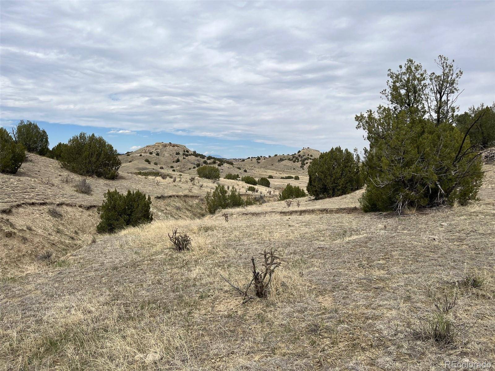 00 Black Horse DR, Pueblo, CO 81004