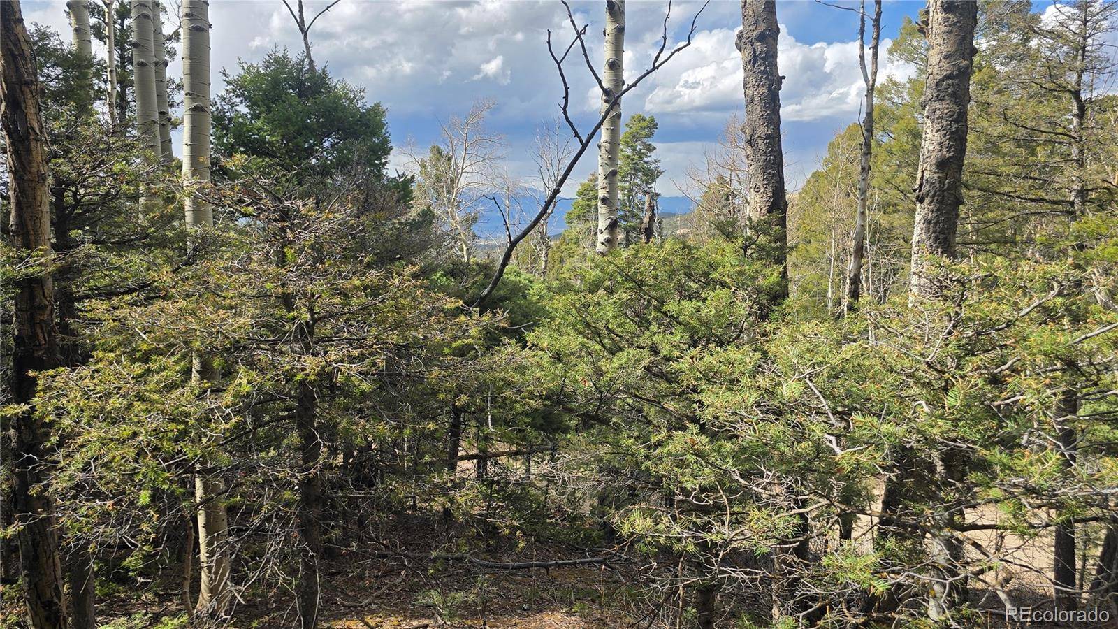 Lot 5261 Scott RD, Fort Garland, CO 81133