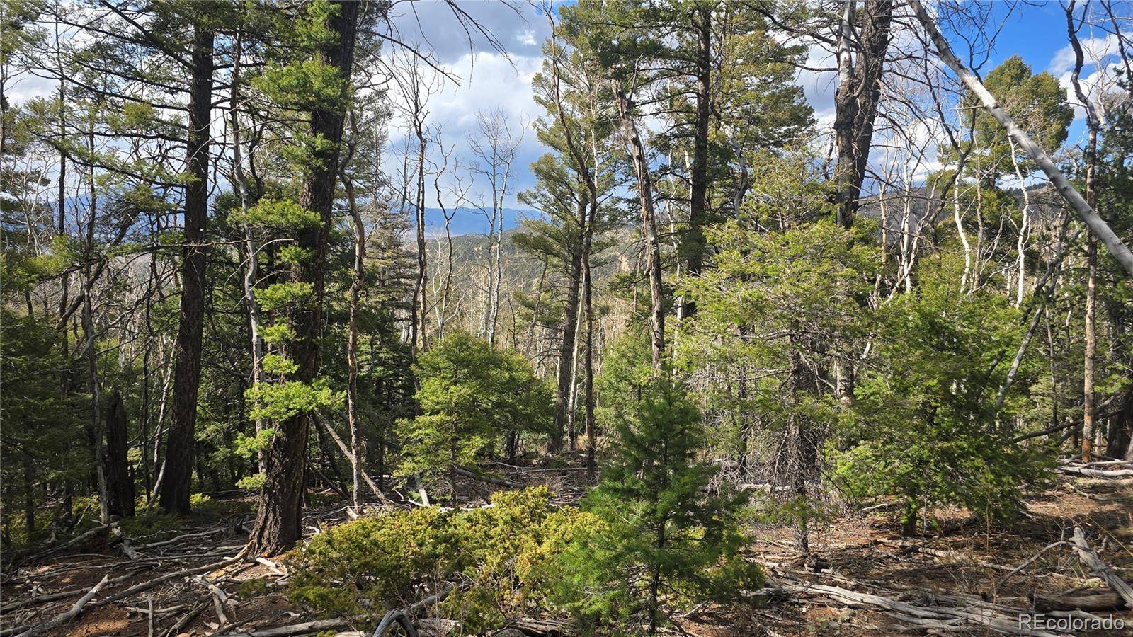 Lot 5261 Scott RD, Fort Garland, CO 81133